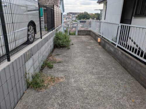 マンション入り口草むしり前
