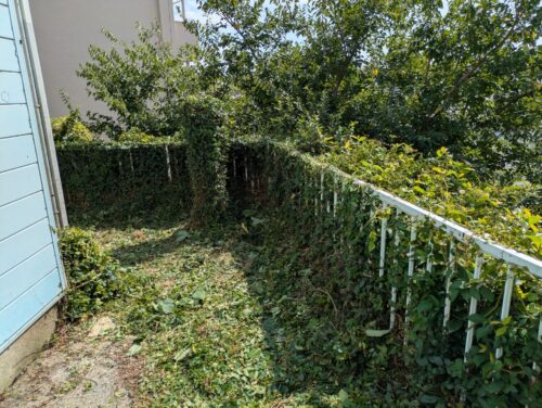 マンション周り角刈り込み後