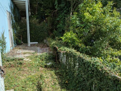 マンション周り南側フェンス刈り込み後2