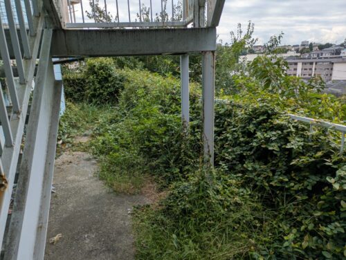 マンション周り階段下除草前