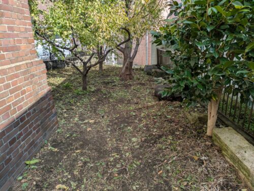 お庭東側草むしり後