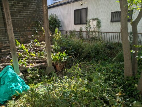 お庭南側草むしり前