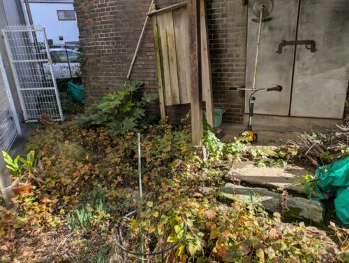 お庭西側草むしり前2