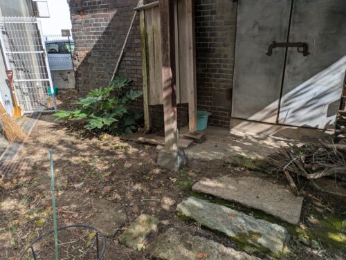 お庭西側草むしり後2