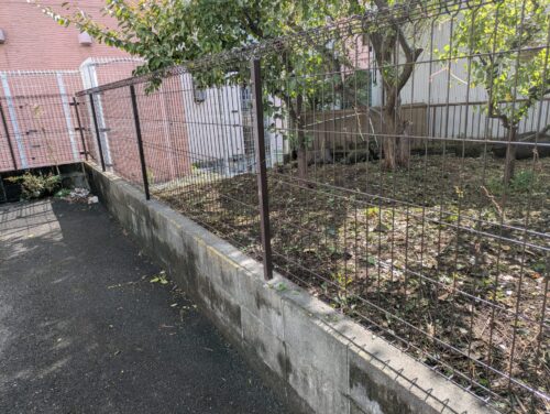 お庭東側フェンスツタ取り後