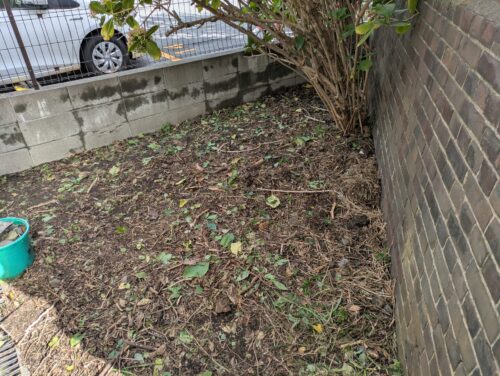 お庭北側草むしり後