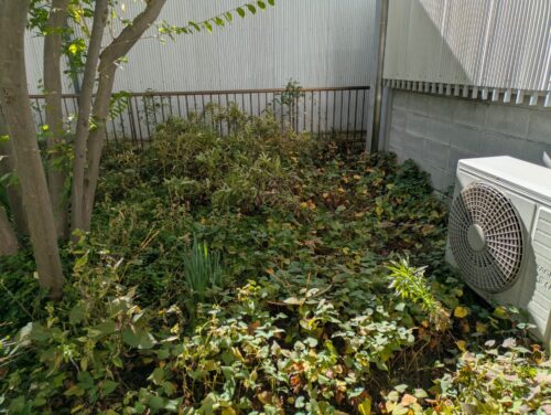 お庭南側草むしり前2