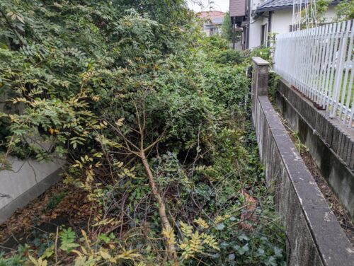 車庫伐採、草刈り前