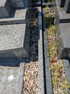 お墓右側草むしり後