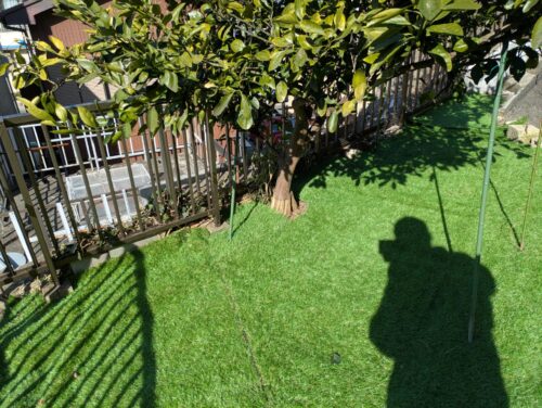 みかんの木の周り人工芝を敷いた後