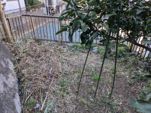 人工芝を敷く予定の場所