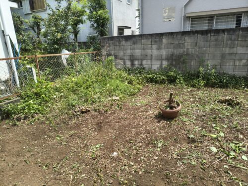 アジサイ伐採後