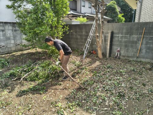 伐採した枝を集める