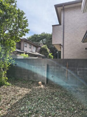 大きな木の伐採完了