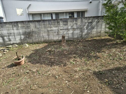 草刈り、草むしり、伐採後の庭2