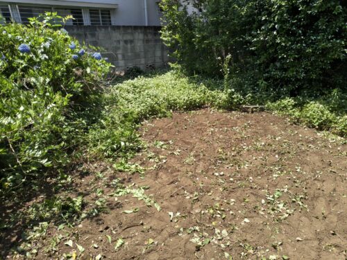庭の草刈り、途中経過