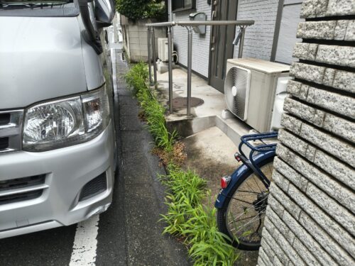 アパート前に生えた雑草作業前