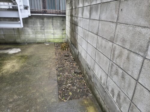 アパート奥の草や笹作業後