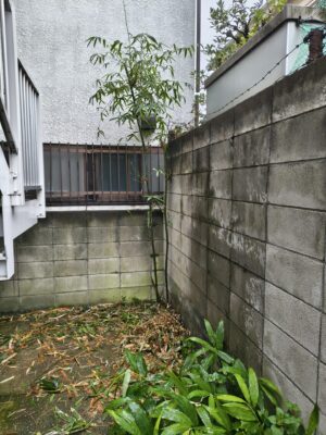 笹の伐採、あと少しで完了