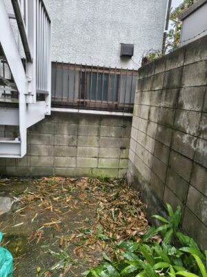 笹の伐採完了