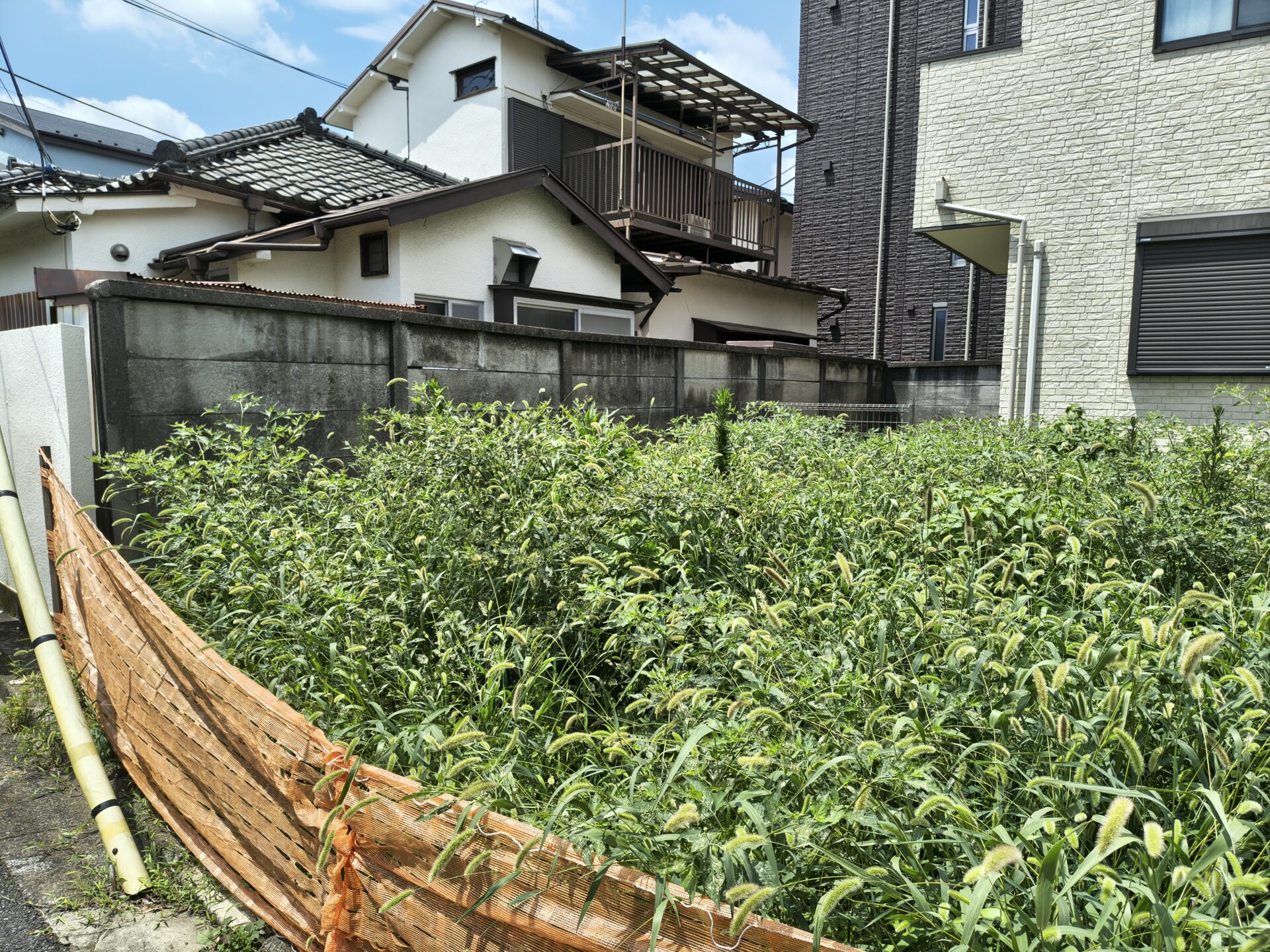 40平米の更地草むしり前