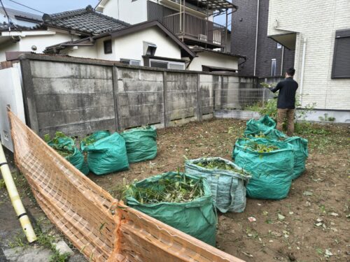 40平米の更地、むしった草もかなりの量になりました