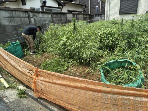 40平米の更地草むしり開始