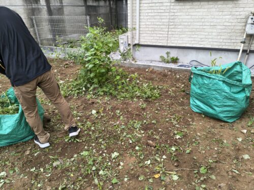 40平米の更地、草むしり完了まであと少し