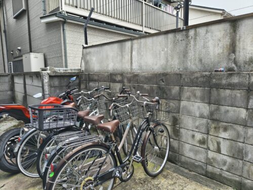 伸びすぎていた木を根元から伐採