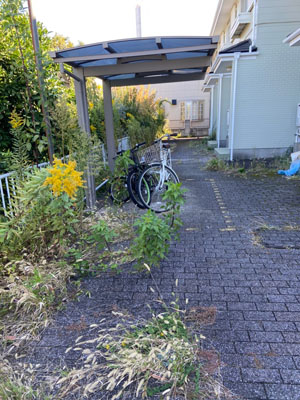 毎年の草むしり