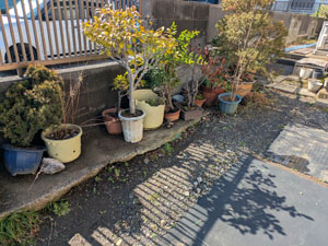 外の植木鉢、プランター処分