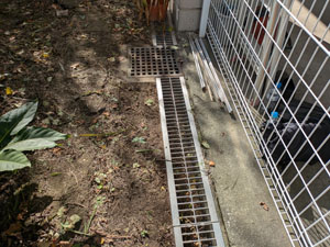 お庭の草むしり、側溝掃除