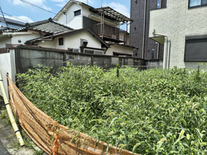 40平米の更地草むしり