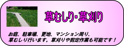 草むしり、草刈り、お庭、駐車場、更地。剪定も行います。川崎市、横浜市、東京都に対応